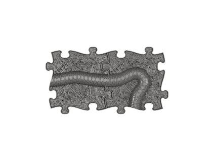 437 set snake extended graphite w01