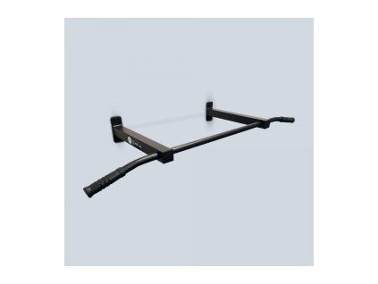 wall mounted pull up bar