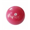 balle lestee 500g