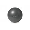 pinofit pilates ball grey 1138x750 px