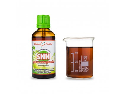 snn