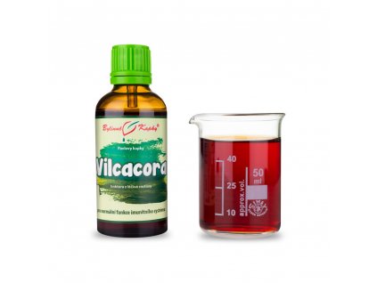 vilcacora