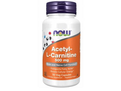 actyl L karnitin