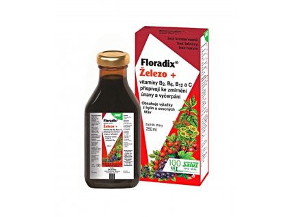 Salus Floradix Železo+vitamíny 250ml