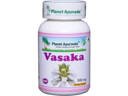 VASAKA kapsuly 500mg / 60ks