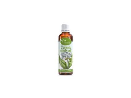 Medvedí cesnak tinktúra z bylín 50ml