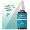 Tribulus terrestris forte kvapky (Kotvičník zemný) 30ml