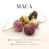 maca2