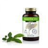 Masticha Active kapsuly 100ks