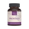 prostata