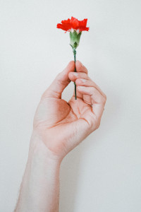 Doporučeno fyzioterapeutkou