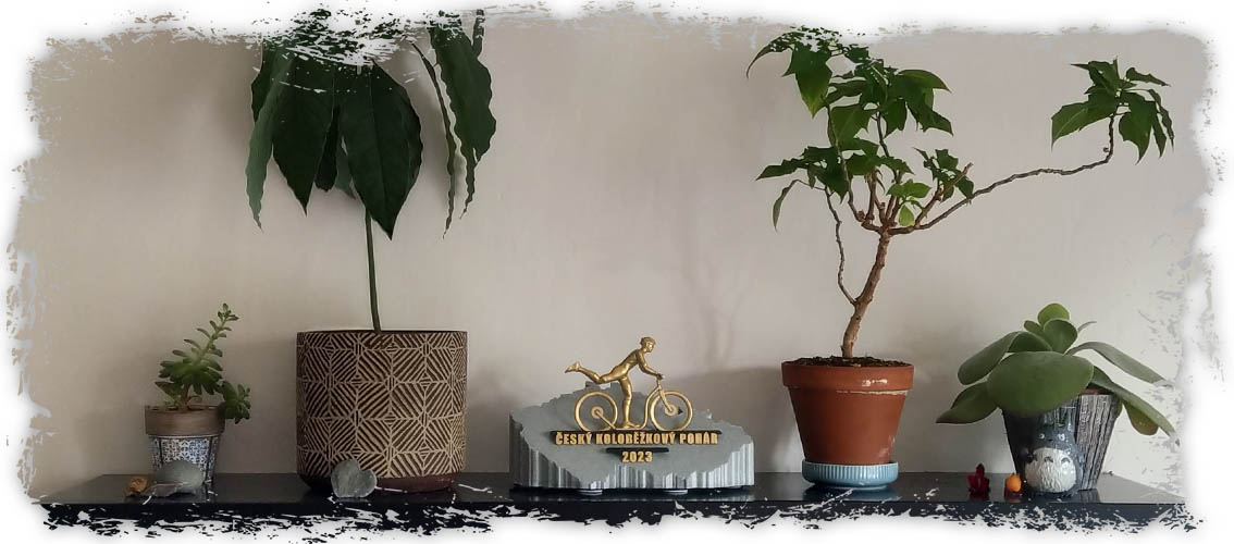 zakazkovy_3D_tisk_trofej