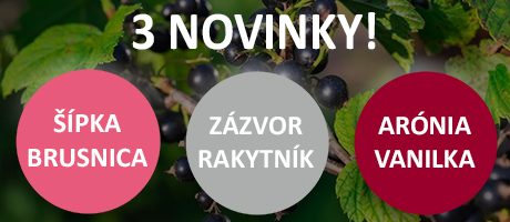 3 Novinky