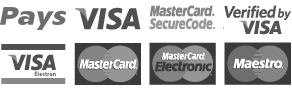 Visa, Mastercard,gopay