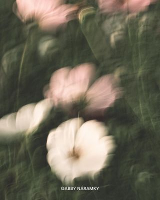 Víkendová sleva 🤎 30.1.-1.2. Využijte víkendovou slevu 10 % na všechny šperky. Stačí při objednávce zadat kód GABBY a...