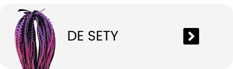 DE SETY