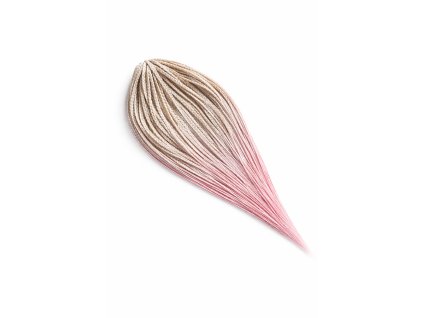 ChatGPT Image 19. 2. 2026 14 10 14