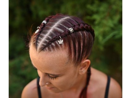 Snímek obrazovky 2025 10 05 135132