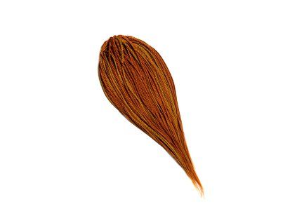 D750013e zesvetleno web