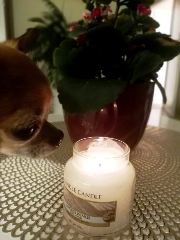 Ako predĺžiť životnosť a vôňu sviečky?