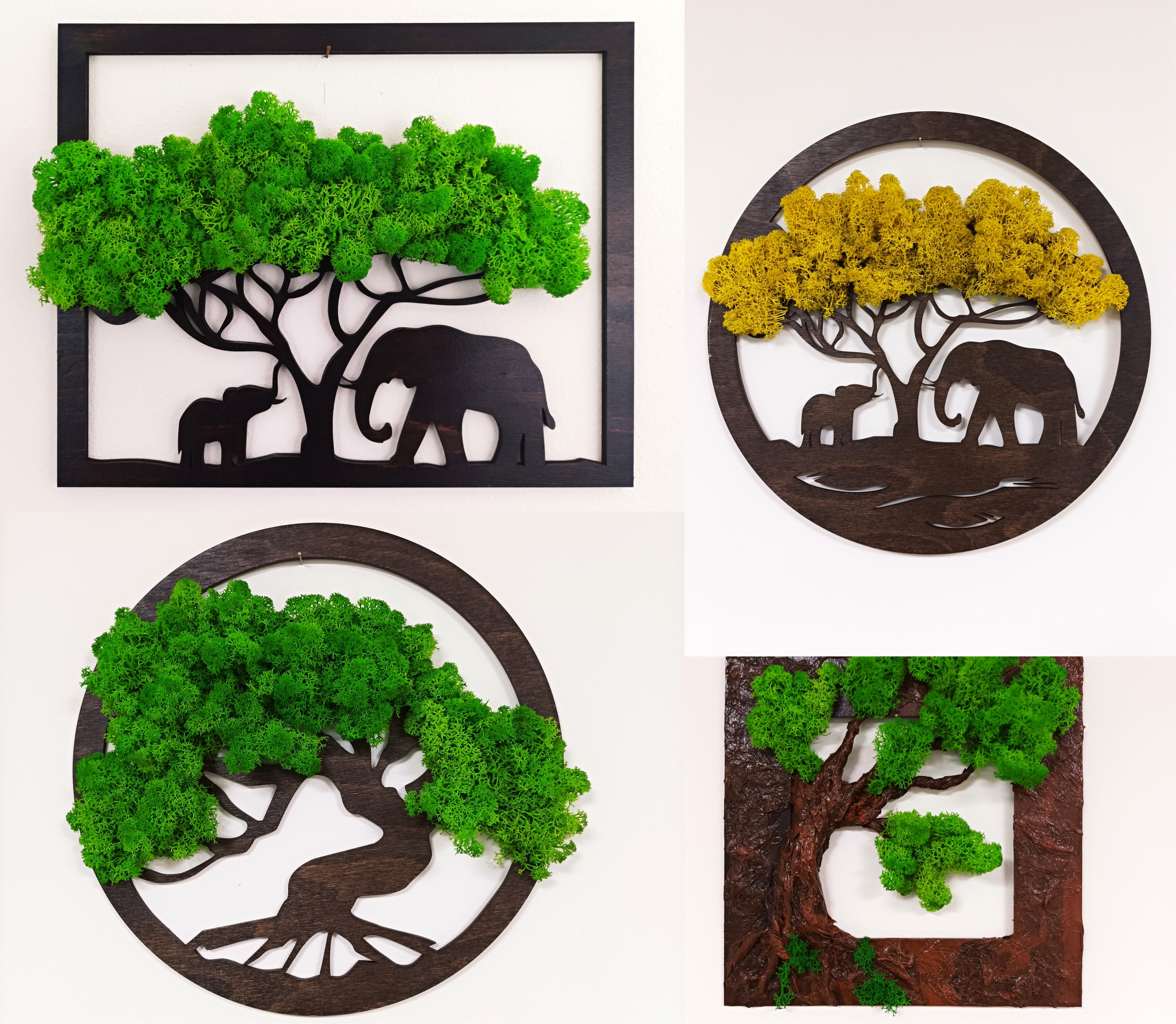 Krásné mechové obrázky "za babku"