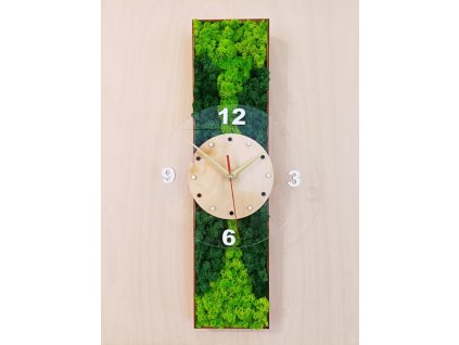 Mechové hodiny nový typ