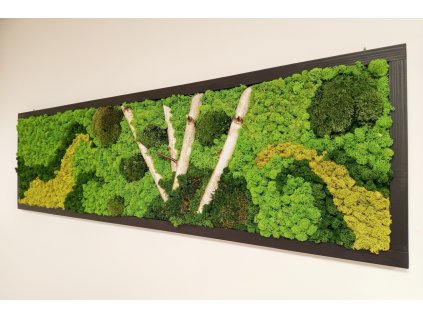 Mechý obraz bříza uprav.