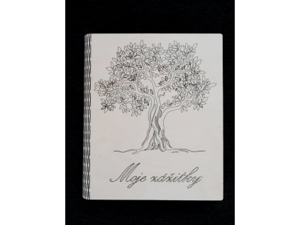 Dřevěná gravírovaná kniha Moje zážitky