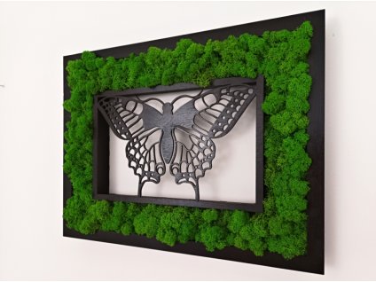 Mechový obraz s motýlem