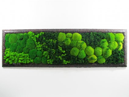 Mechový obraz 130 x 40