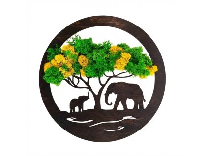 Mechový obraz sloni barevný mech