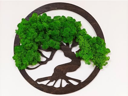 Mechový obraz strom života kulatý