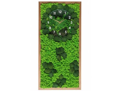 Novinka!! Mechový obraz s hodinami