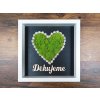 Obraz srdce s věnováním