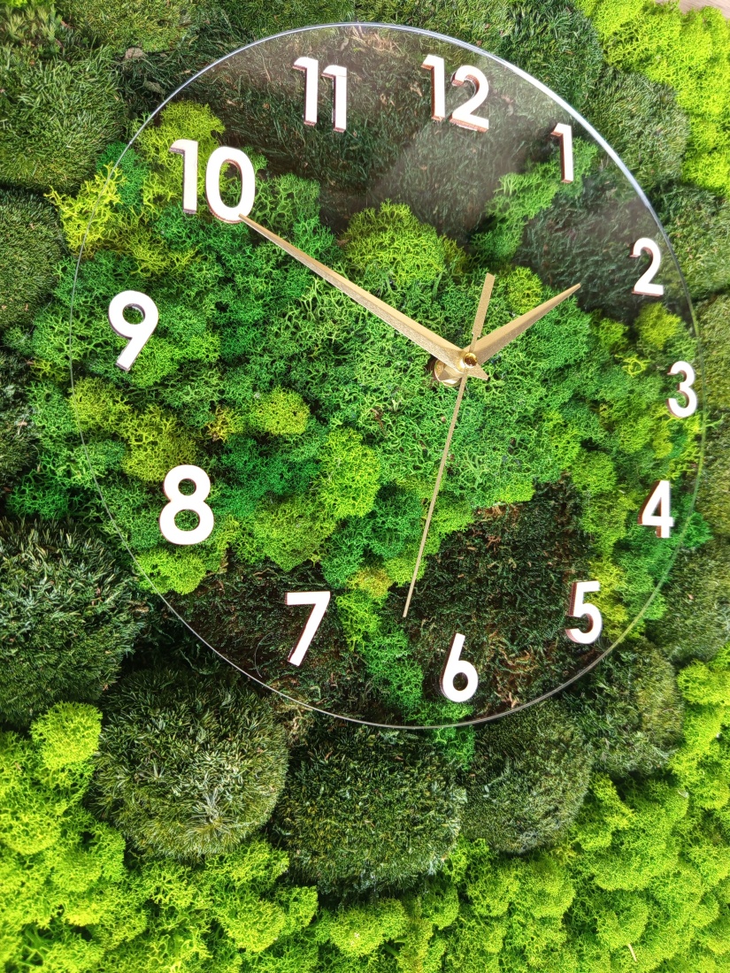 Naše novinky roku 2025