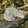 openart image T6lWRu0h 1770387270318 raw