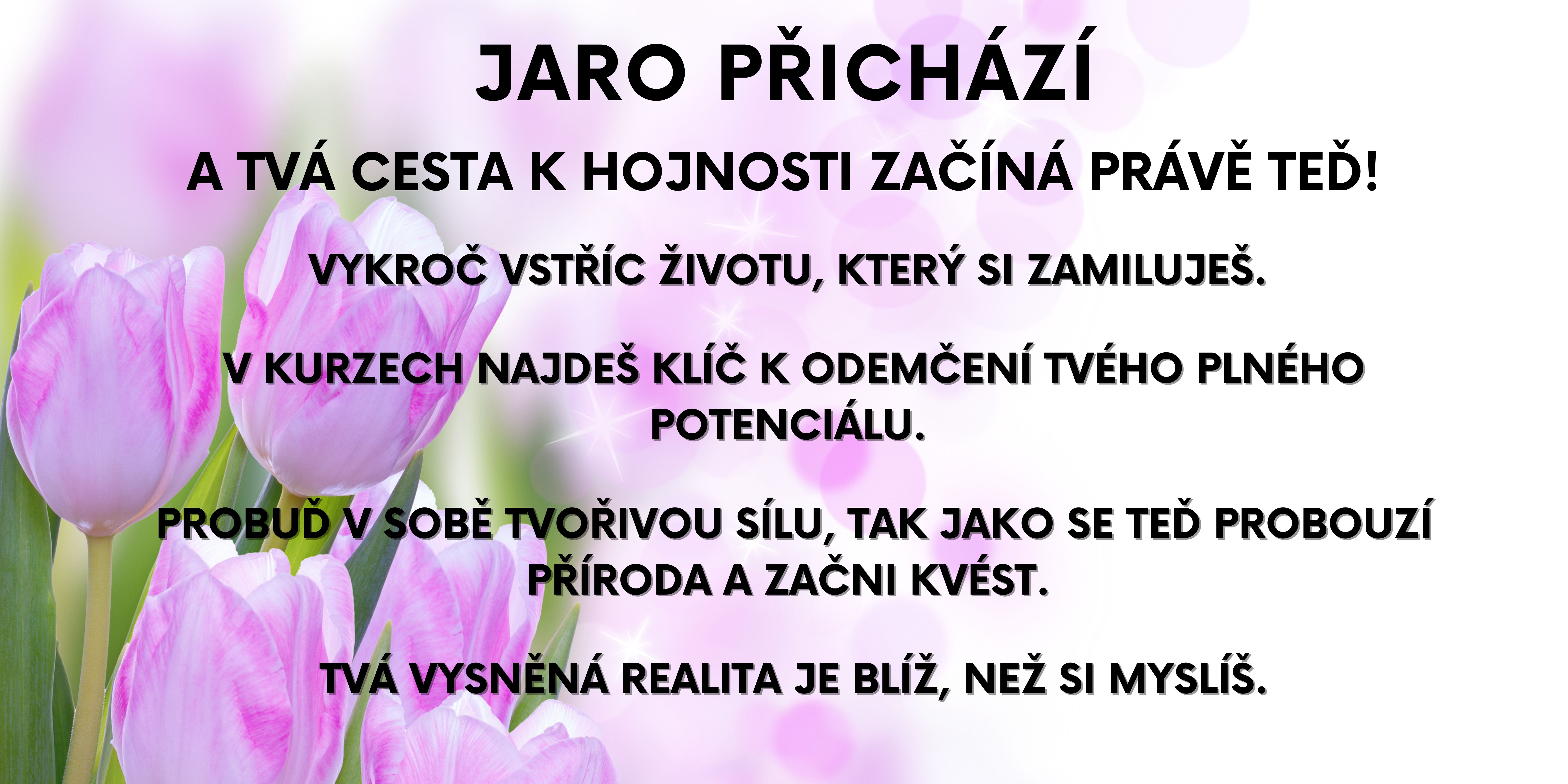 sleva, terapie, kurzy