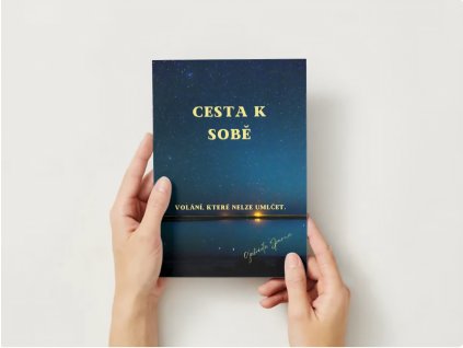 Screenshot 20251110 140826 Canva