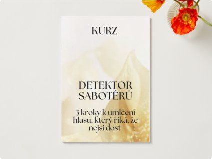 detektor sabotérů kurz
