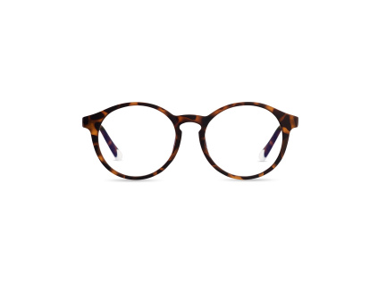 lemarais kids tortoise front 2048x