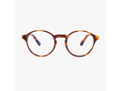 Shoredtich Havana Front 1000x