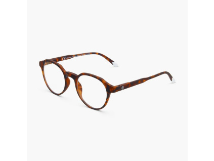 Chamberi Tortoise 34 600x