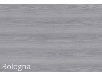 Gagn vinilové podlahy Bologna