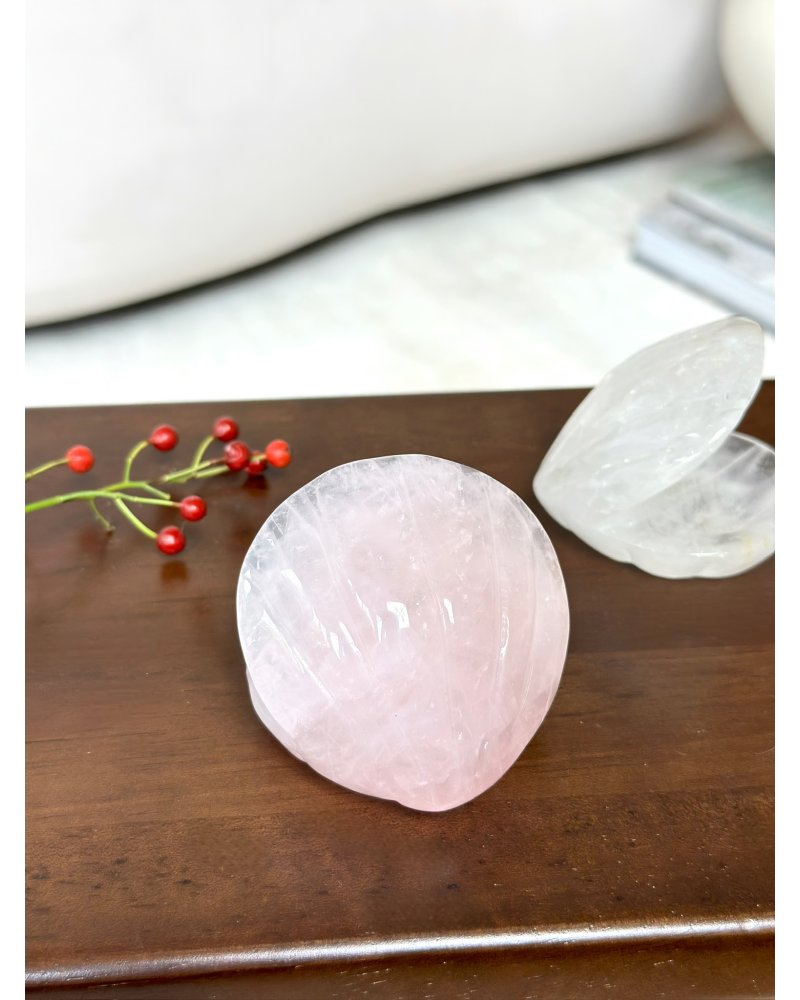 Leštěná kouzelná mušle z růženínu Brazílie 164g