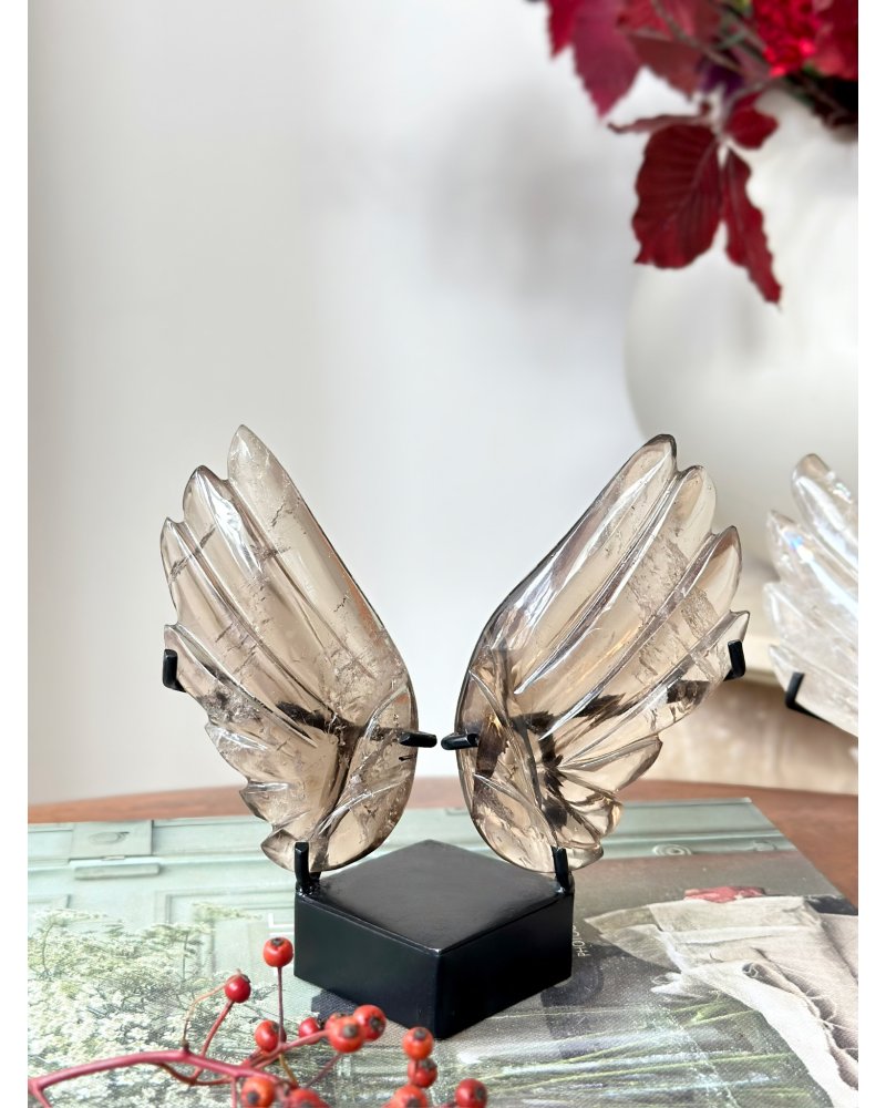 Broušená křídla ze záhnědy Brazílie 331g