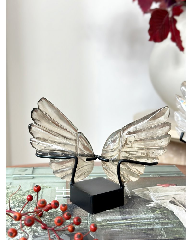 Broušená křídla ze záhnědy Brazílie 179g