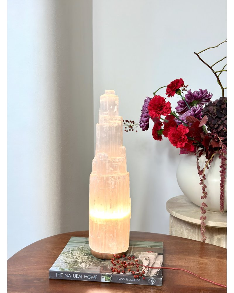 3CBE58F5 10CE 4D70 BB08 561300202F1C