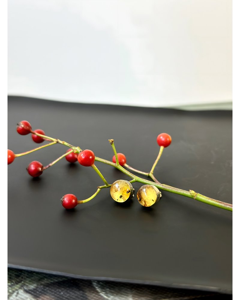 Jantar náušnice kulaté Litva