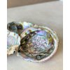 Vykuřovací mušle Abalone surová