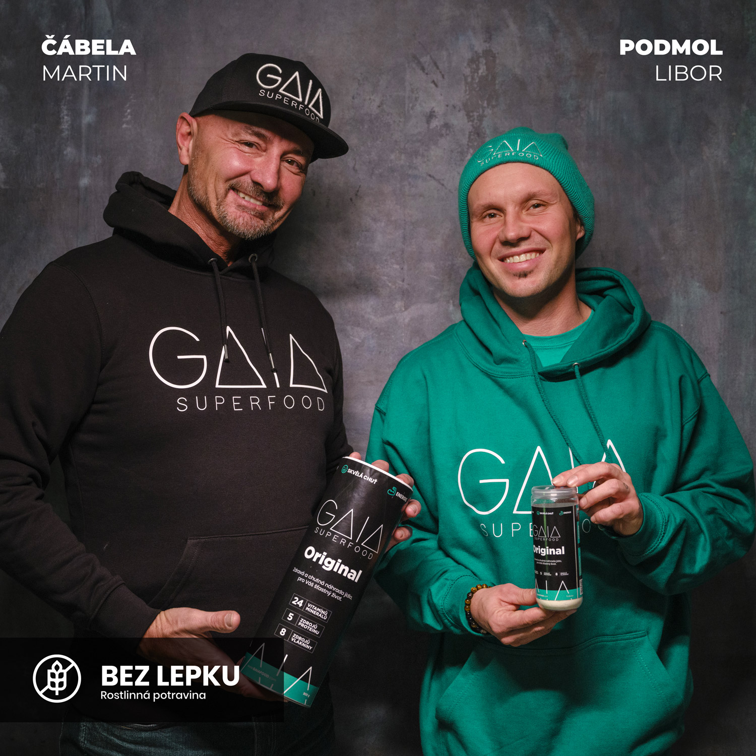 Co je to GAIA?